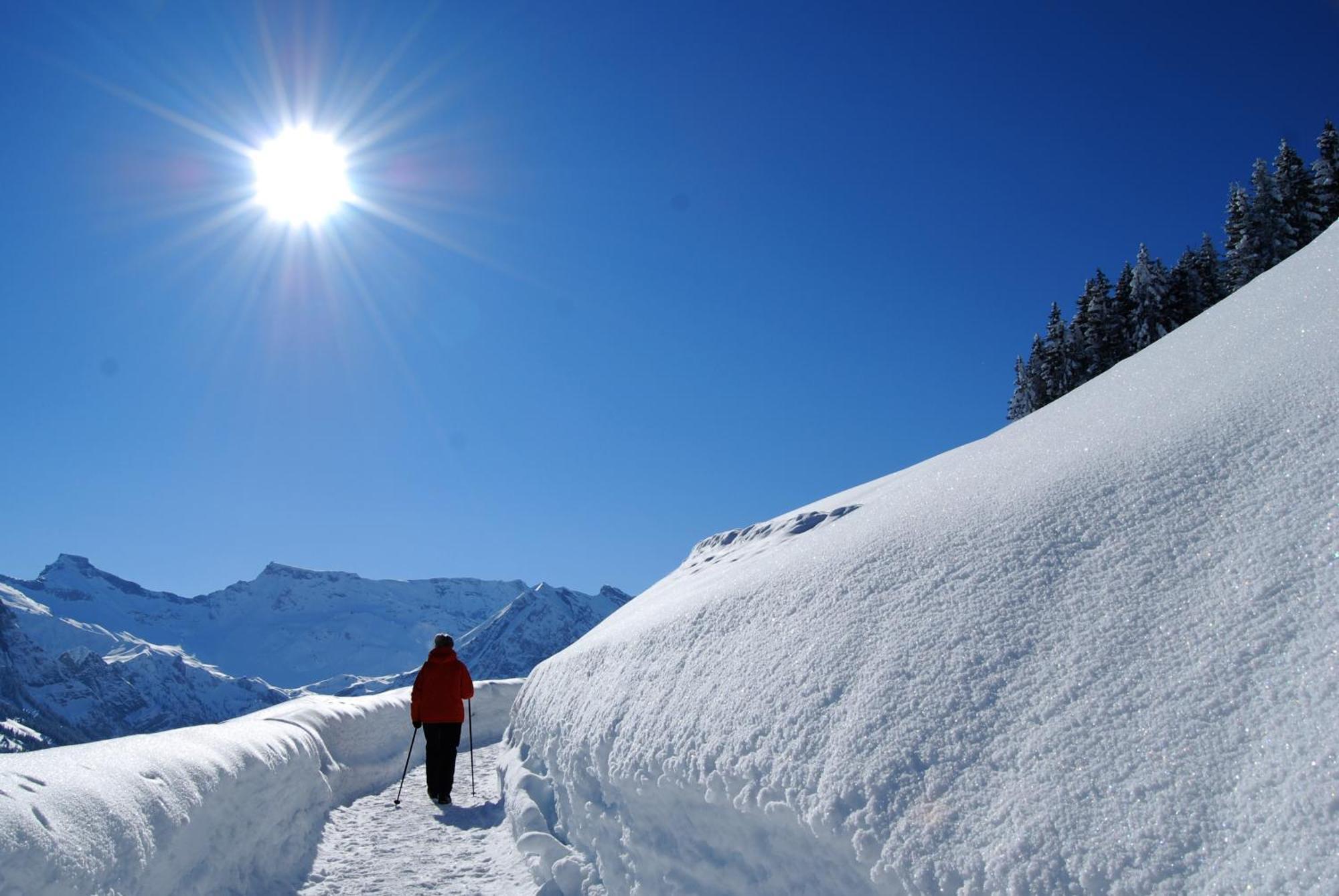 Bellevue Parkhotel & Spa - Relais & Chateaux Adelboden Eksteriør bilde